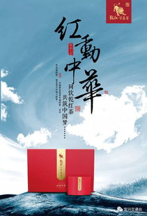 宜兴品牌设计公司哪家好(宜兴品牌设计公司排名)