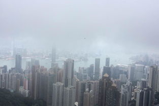 雨天香港一日游 香港游记攻略 