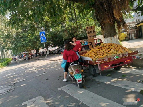 钦州一桥附近辅道又现流动摊贩 网友 为了两闷鸡占道摆摊