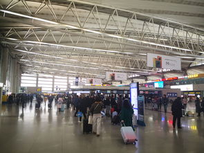 TAO PKX 首都航空A33 大兴机场隔离区内首逛