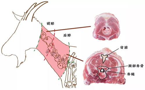 大众点评都搜不到的宝藏街 这有全宇宙最好吃的西北嫩肉