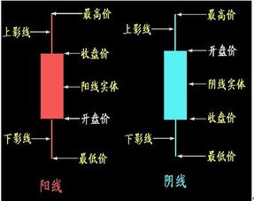 哪些人可以开立股票账户