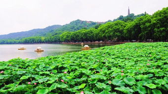 秋天来杭州,哪里风景最美