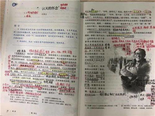 跳水课文笔记词语解释;初一读课外书怎么做批注？