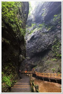 深山峡谷中的风景 二