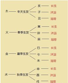 四柱八字 十二长生速记法,从小家穷贫中年富甲一方的八字