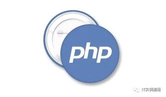 编程科普,C C Java PHP Python分别用来开发什么