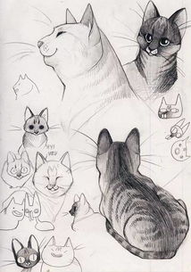 看了这些教程,零基础也能画出特别可爱的猫咪 
