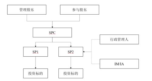 开曼SPC一定是基金吗(开曼注册的基金公司国内可以用吗)