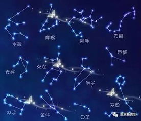 十二星座最八卦的星座