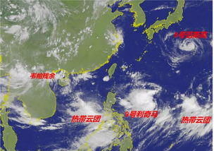 9号台风利奇马 你见过的最大的台风，是在哪一年？可以介绍一下吗？ 