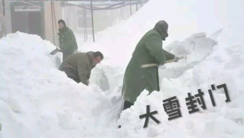 2021年11月8日,一夜之间大雪封门,东北的雪太大了