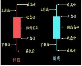 请问股票怎么炒