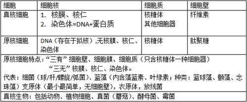 高中生物必修3知识点总结