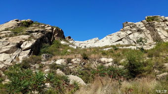 昌黎小东山随拍