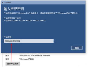 电脑安装的盗版win10黑屏怎么办