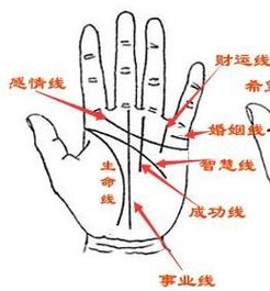 手上的线分别代表什么图解,戒指该如何戴，戴十根指头分别是什么含义？（图解）