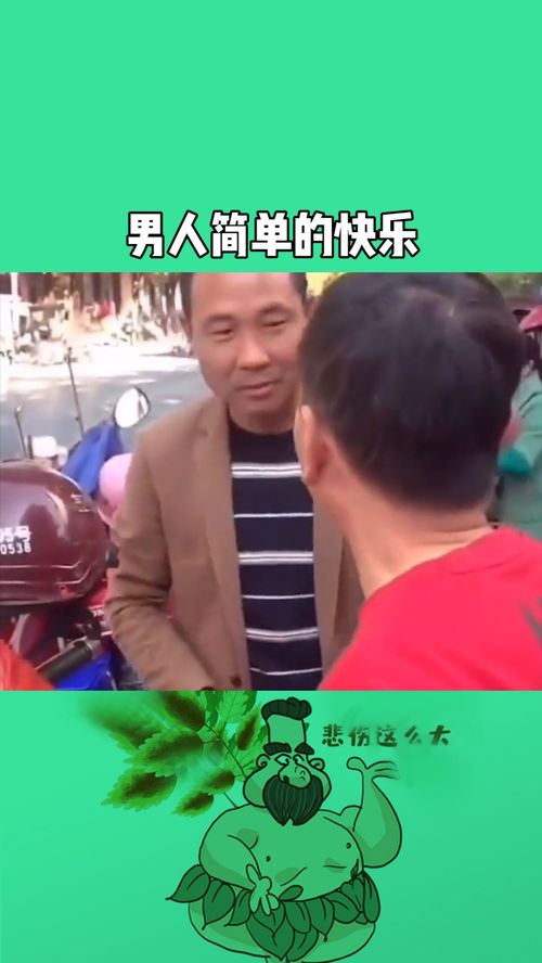 老马的快乐生活(老马家的幸福往事结局)