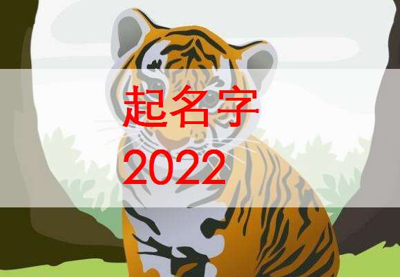 姓朱吉祥的2022属虎宝宝取名