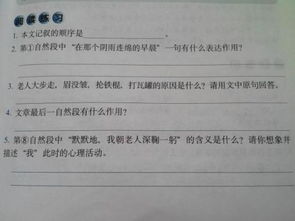 阅读题 《只要信心不被打碎》的答案