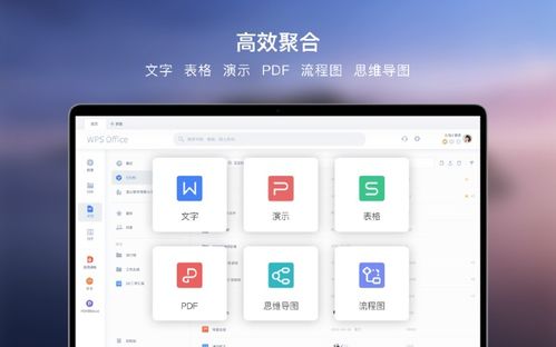 WPS Office