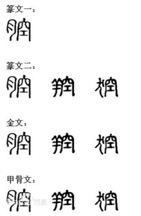 们字为啥不带声调(们字为什么没有音标)