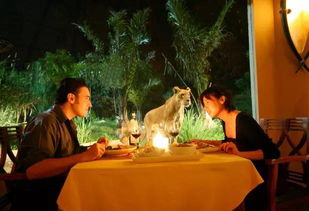 巴厘岛精选餐厅,别与美食擦肩而过