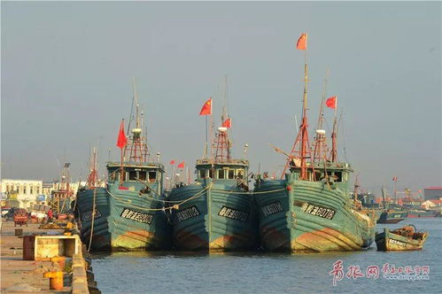 青岛进入 超严 休渔期 50万公斤新鲜海鲜要上市,时间就在