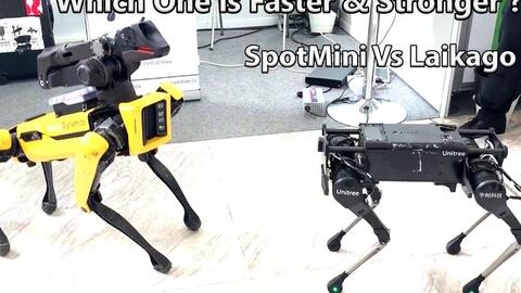 Boston Dynamics波士顿动力公司机器狗Spot演示视频