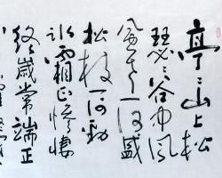 赠从弟原文及翻译（赠从弟原文及翻译拼音语音）