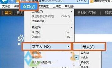 win10浏览器页面大小设置在哪里设置