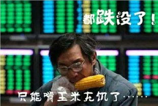 2015年7月杠杆牛市破灭中国期货界传奇人物刘强跳楼