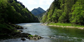 望岳所描绘的泰山，中华五岳之首的壮美画卷，望岳写的是什么山的景色