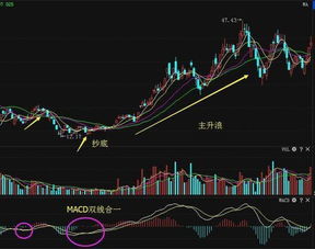 深招港现更名为啥股票市盈率是多少总股本是多少