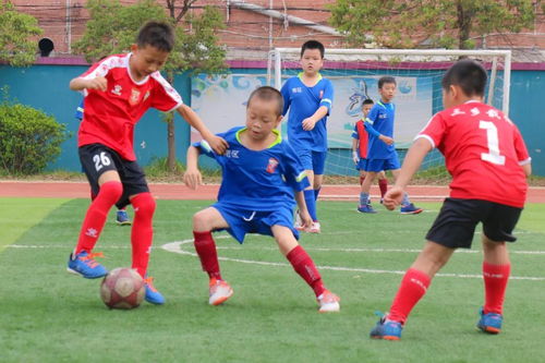 小学足球比赛战绩图片分享