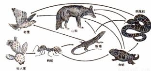 下列生物的生殖方式为无性生殖的是