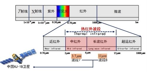 红外热成像异常胸腺热