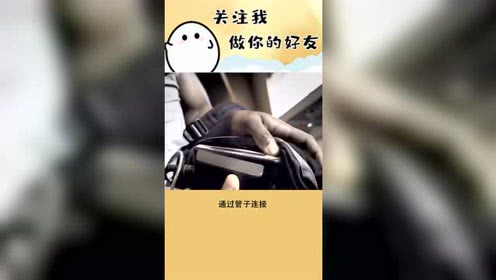 稀奇的冷知识的个人频道 