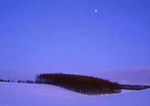 不用羡慕故宫雪景,咱们摄影老师教你分分钟拍出雪景大片