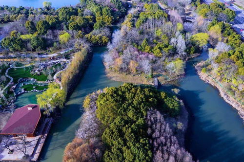 人间宝藏 苏州这个国家湿地公园,全球出名啦