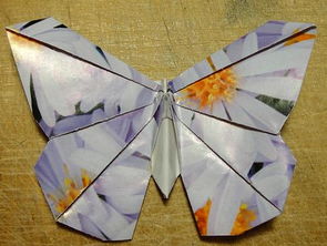 如何折纸蝴蝶之折纸凤尾蝶教程图解 