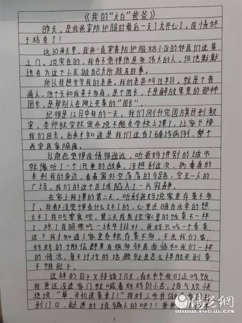 西安14岁中学生手写千字长文记录父母送菜, 大白 团长爸爸引全小区邻居点赞