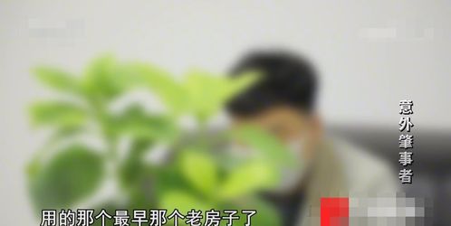 60岁老人生日当天被撞身亡,肇事逃逸者竟是亲生儿子,母亲 不知道能不能原谅