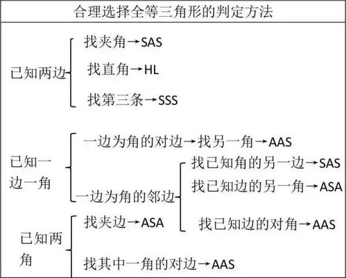 表的重点知识