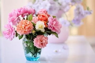 请问网友,这5种粉红色的花,名字叫什么