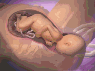 女人生产全过程 妈妈痛不欲生时,宝宝竟在子宫里 