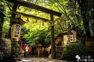 京都有哪些神社可以求姻缘