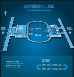 清晨.我在马尔代夫醒来 类型 