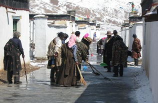 西藏那曲申扎申扎镇天气预报