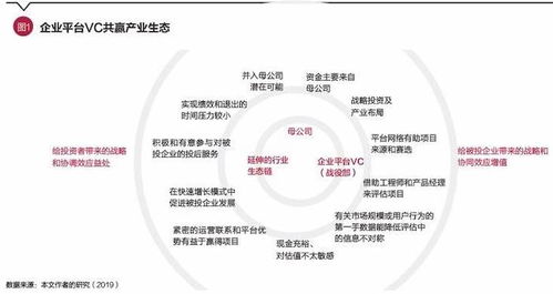 数脉链cvt未来价值,cvt币有投资价值吗